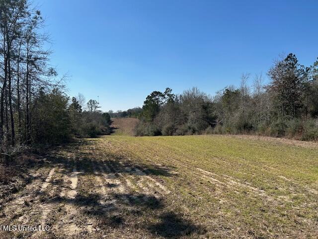 Sawmill Road Sandy Hook, MS 39478 - Photo 42 of 50 IMG_3053
