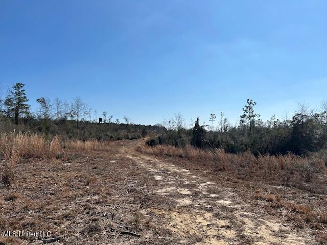 Sawmill Road Sandy Hook, MS 39478 - Photo 43 of 50 IMG_3054