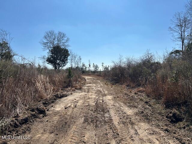 Sawmill Road Sandy Hook, MS 39478 - Photo 45 of 50 IMG_3056