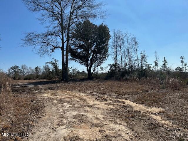 Sawmill Road Sandy Hook, MS 39478 - Photo 46 of 50 IMG_3058