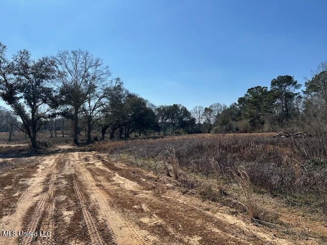 Sawmill Road Sandy Hook, MS 39478 - Photo 49 of 50 IMG_3063
