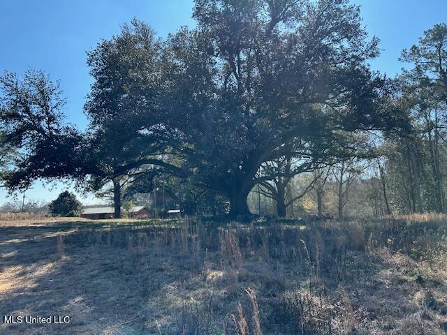 Sawmill Road Sandy Hook, MS 39478 - Photo 50 of 50 IMG_3064