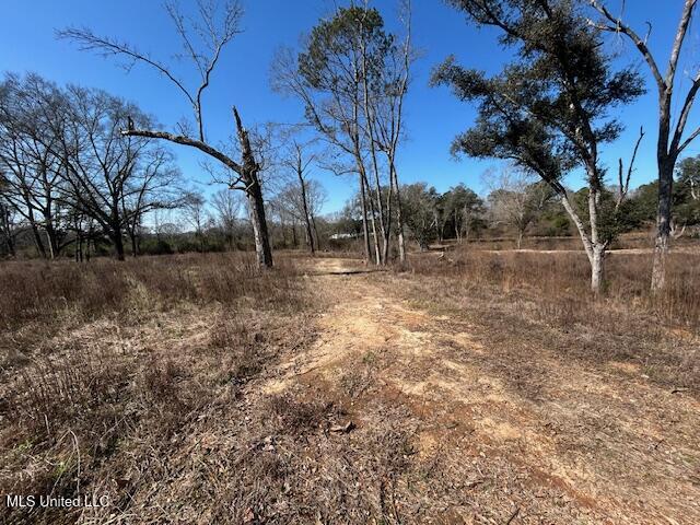 Sawmill Road Sandy Hook, MS 39478 - Photo 7 of 50 IMG_3005 (1)