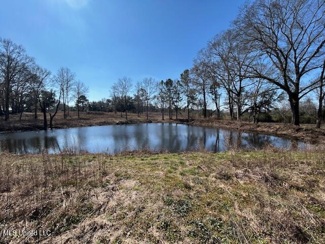 Sawmill Road Sandy Hook, MS 39478 - Photo 9 of 50 IMG_3010