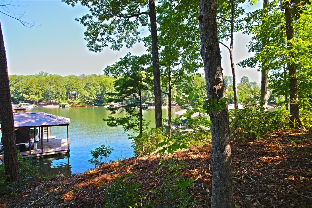 1359 Hbr Rdg Road Seneca, SC 29672 - Photo 31 of 39 A tranquil lake view from a wooded hillside, complete with a private boat dock.
