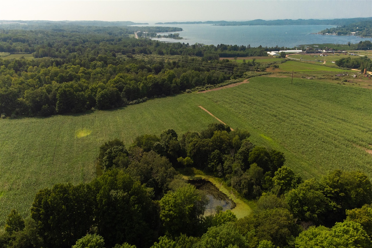 Milarch Road Bear Lake, MI 49614 - Photo 18 of 57