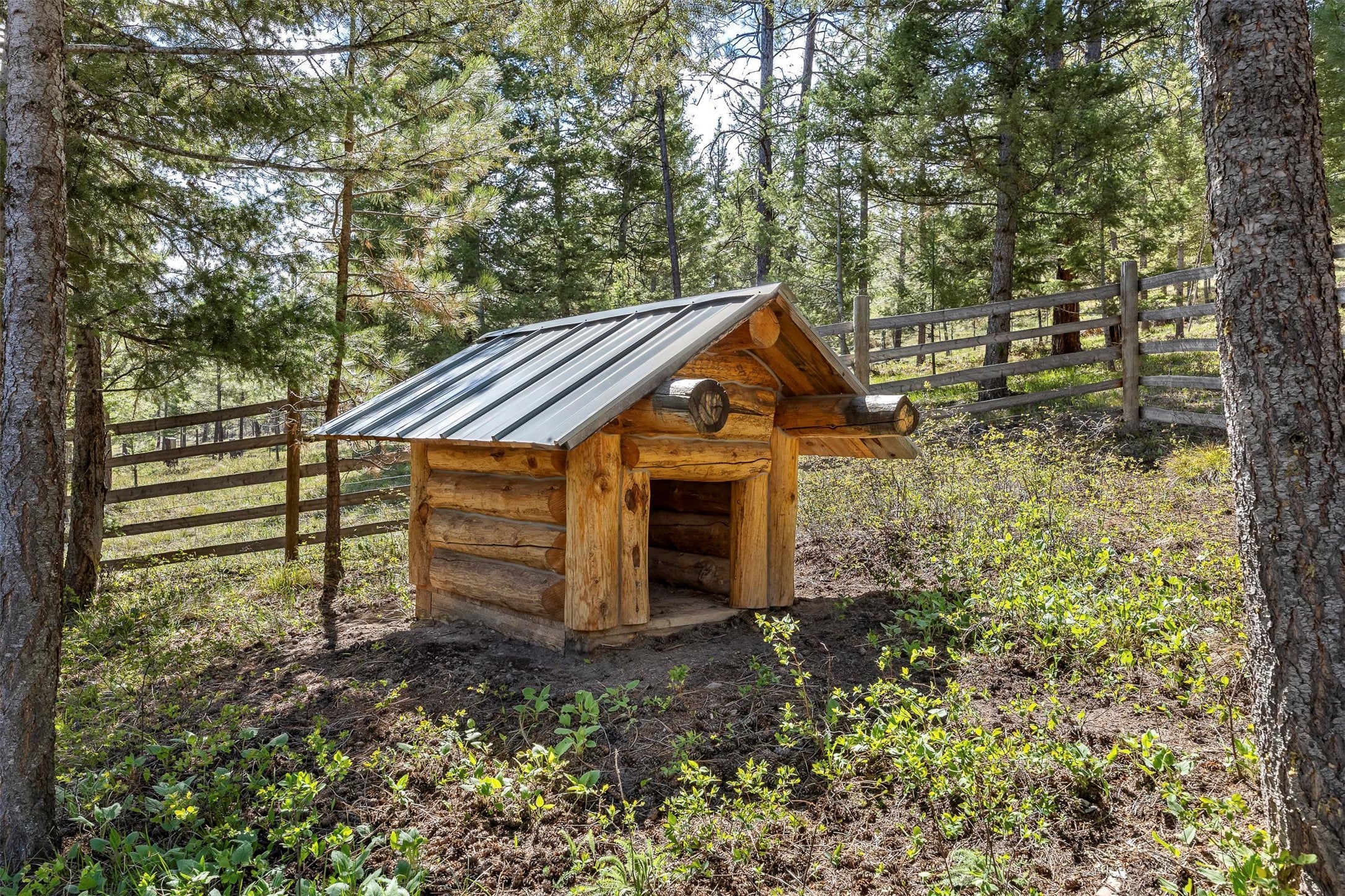 35800 Cat Face Road Bonner, MT 59823 - Photo 8 of 41 Dog house