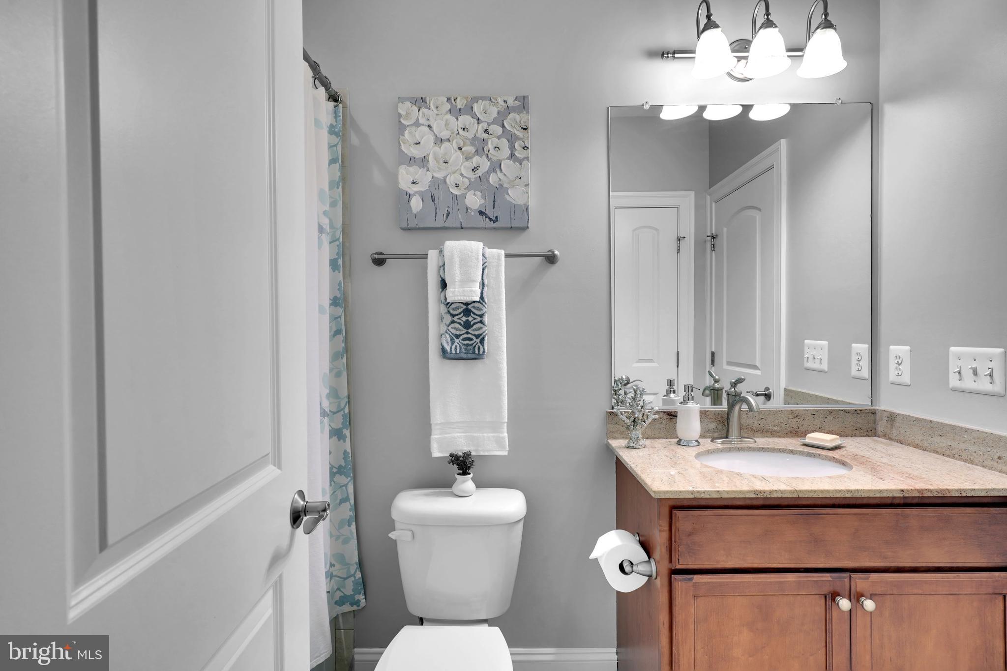 421 Cynthia Lane Northeast Vienna, VA 22180 - Photo 52 of 67 Basement Bath