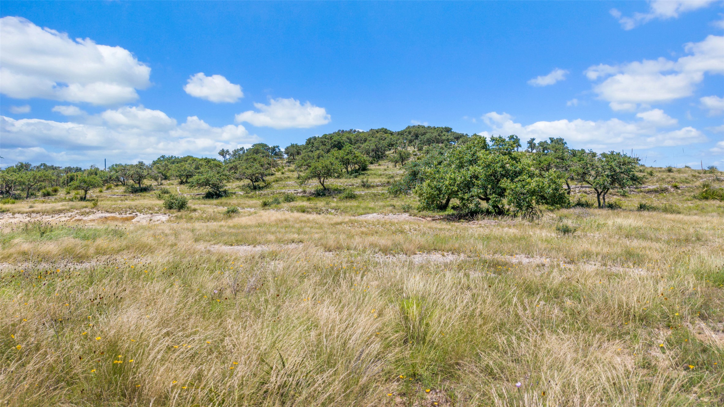 Tbd Kendalia Road Blanco, TX 78606 - Photo 3 of 24 a view of an outdoor space and a yard