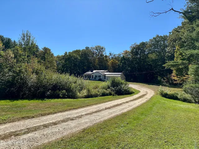 a view of a garden with large trees