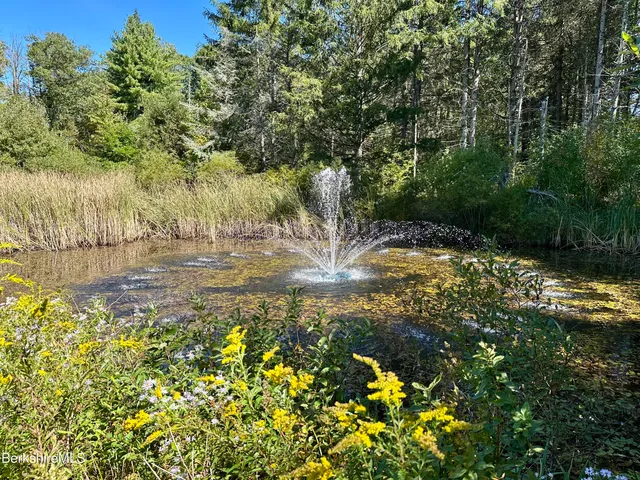 a view of yard with tree