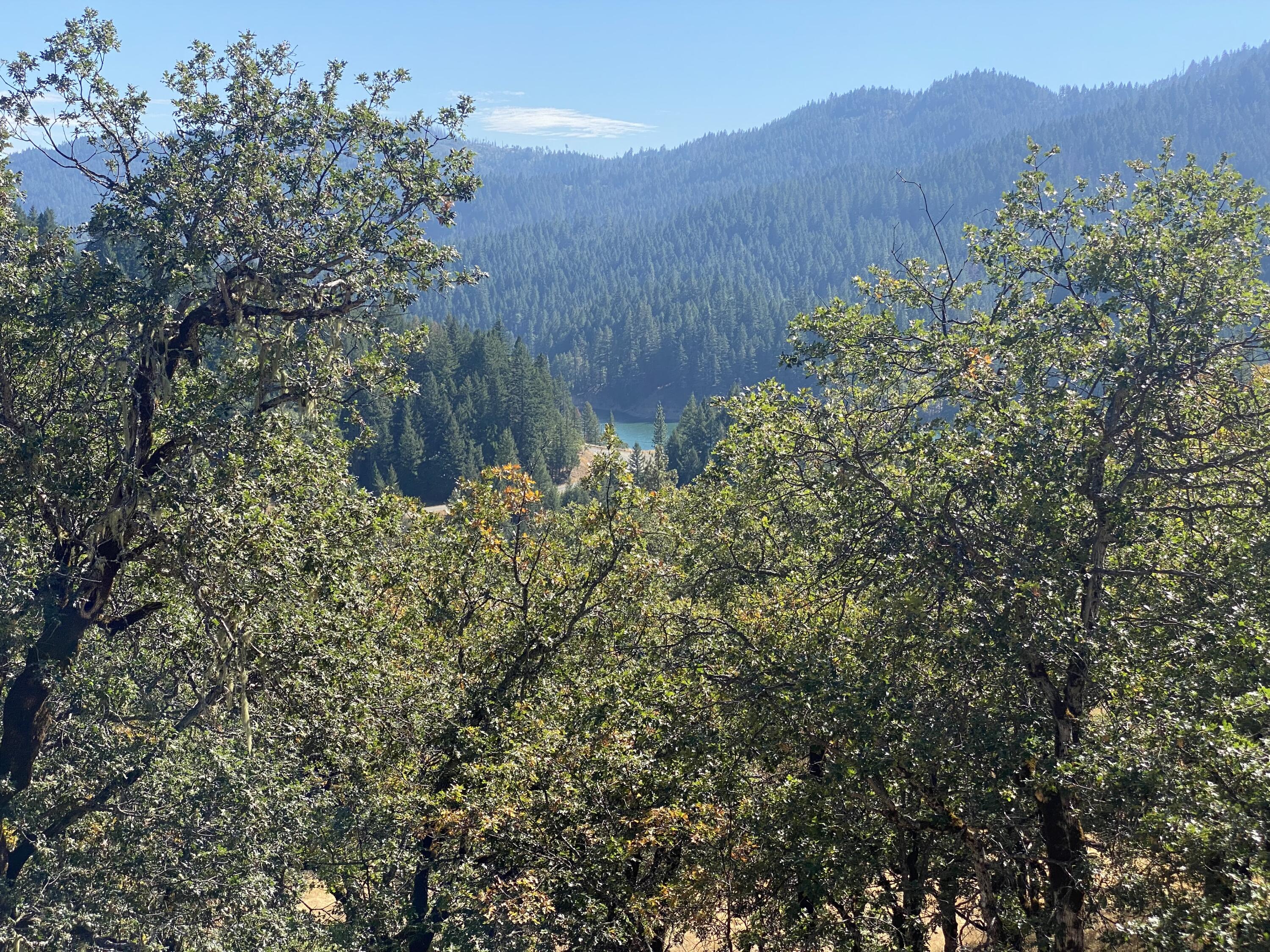 7331 Lower Mad River Road Mad River, CA 95552 - Photo 19 of 72