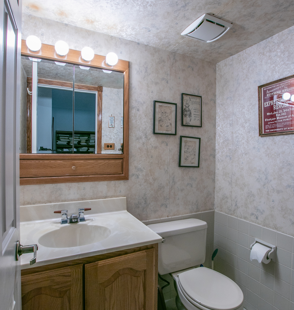 1325 Linden Road Homewood, IL 60430 - Photo 11 of 19 a bathroom with a sink vanity mirror and toilet