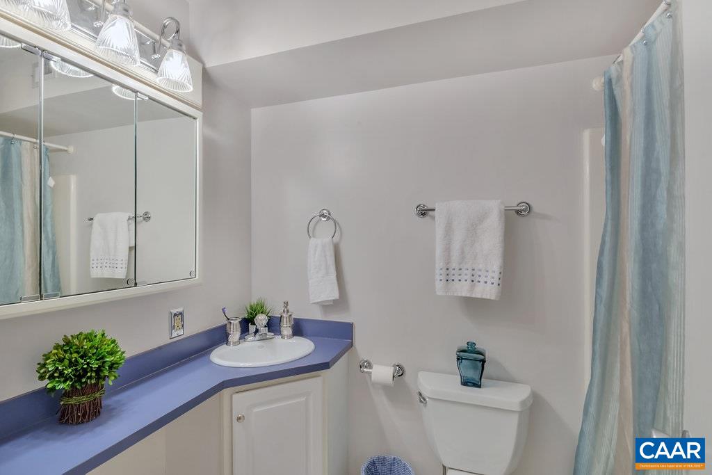101 Turtle Creek Road, Unit 12 Charlottesville, VA 22901 - Photo 18 of 36 a bathroom with a sink a toilet and a mirror