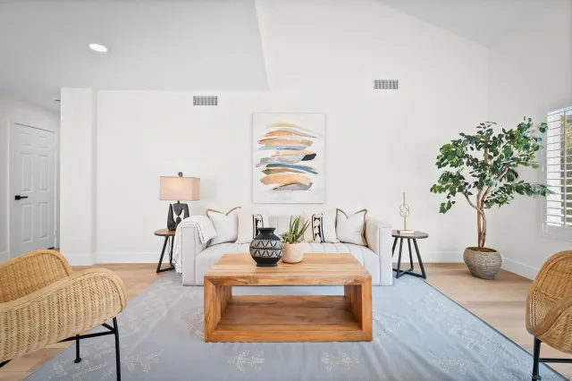 a living room with furniture and a potted plant