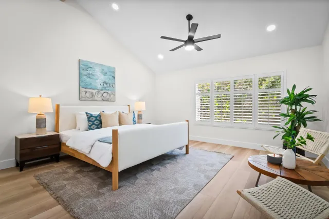a living room with furniture and a potted plant