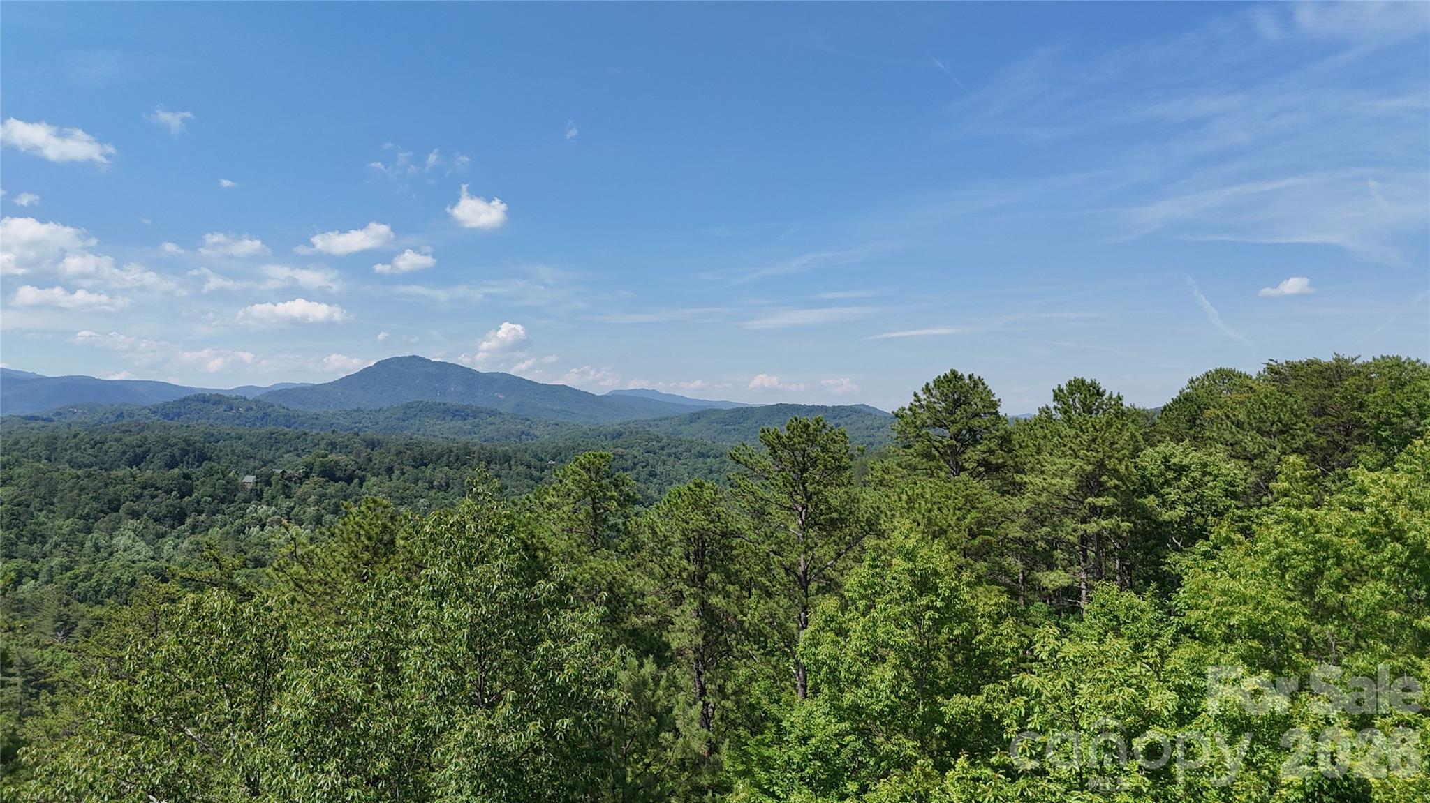 590 Boulder Ridge Lake Lure, NC 28746 - Photo 16 of 18