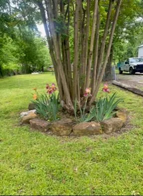 a view of backyard with outdoor and green space