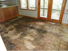 456 Dalewood Road Johnson City, TN 37601 - Photo 3 of 23 DINING AREA WATER DAMAGE