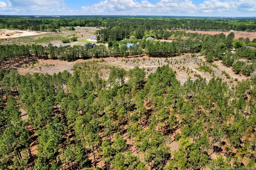 0 Fields (lot 1) Road Rockingham, NC 28379 - Photo 11 of 17 Photo 11
