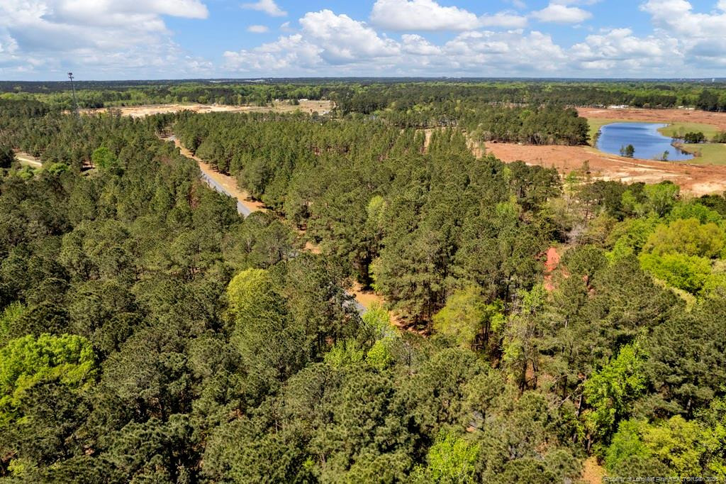 0 Fields (lot 1) Road Rockingham, NC 28379 - Photo 12 of 17 Photo 12