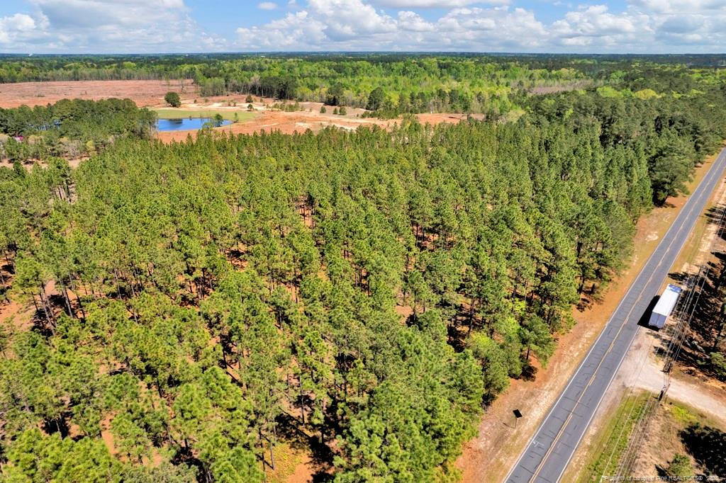0 Fields (lot 1) Road Rockingham, NC 28379 - Photo 14 of 17 Photo 14