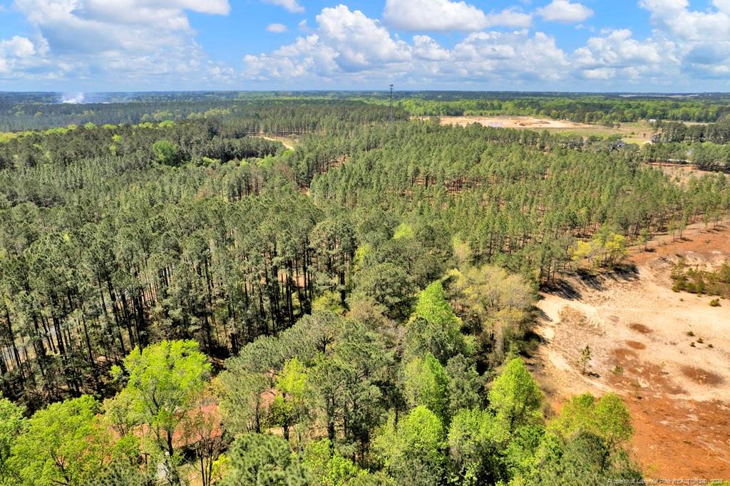 0 Fields (lot 1) Road Rockingham, NC 28379 - Photo 15 of 17 Photo 15