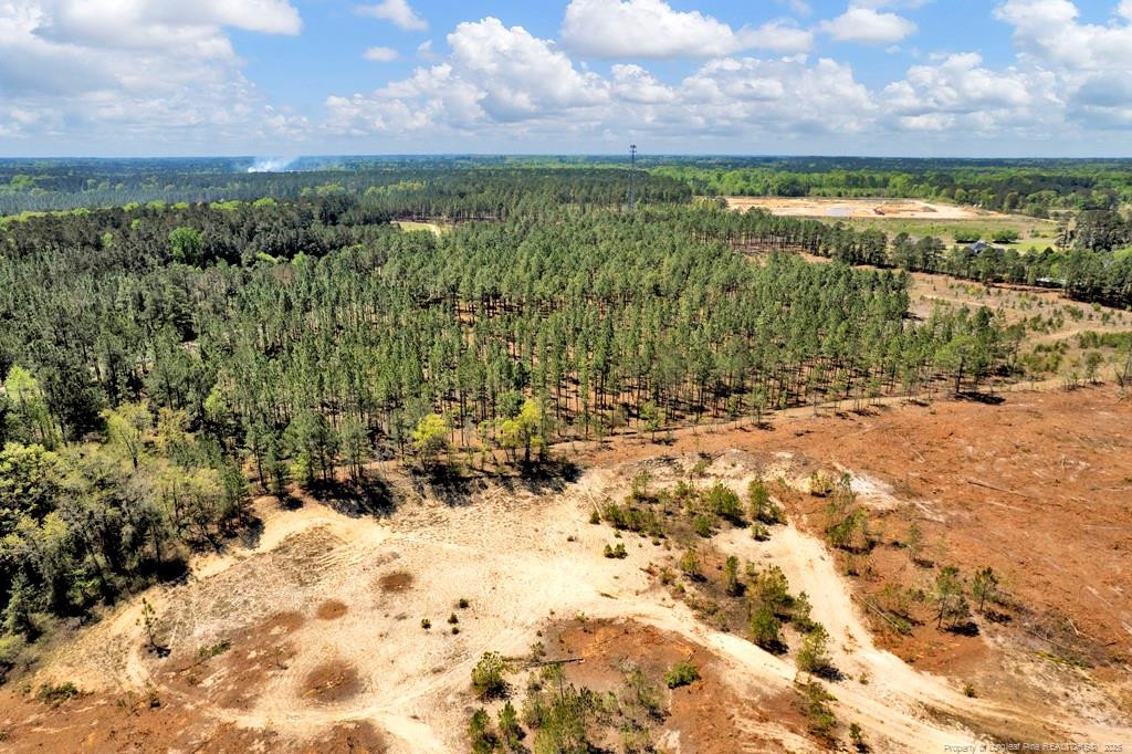 0 Fields (lot 1) Road Rockingham, NC 28379 - Photo 16 of 17 Photo 16