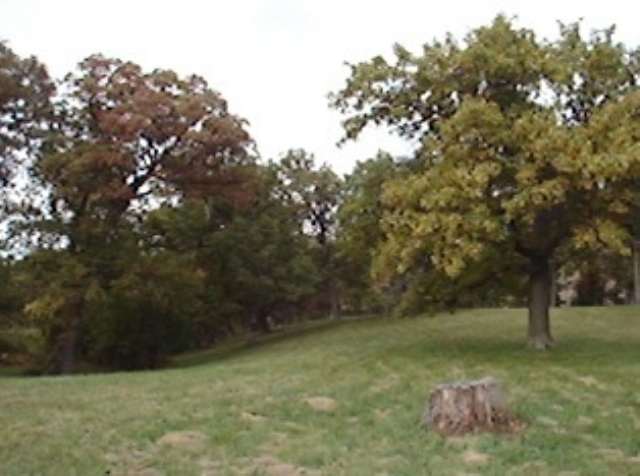 Lot C Grebner Road Metamora, IL 61548 - Photo 2 of 7