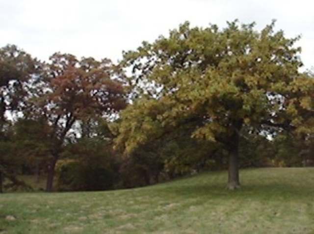 Lot C Grebner Road Metamora, IL 61548 - Photo 5 of 7