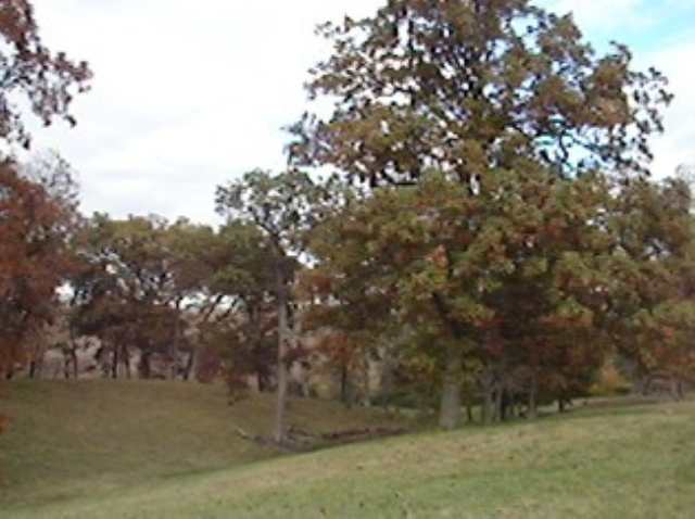 Lot C Grebner Road Metamora, IL 61548 - Photo 6 of 7