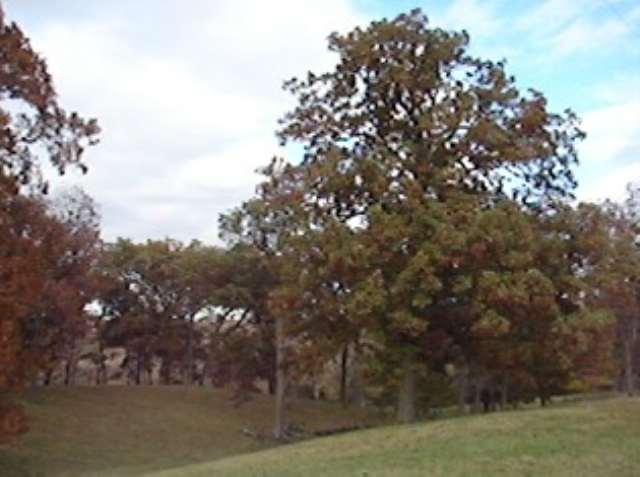 Lot C Grebner Road Metamora, IL 61548 - Photo 7 of 7