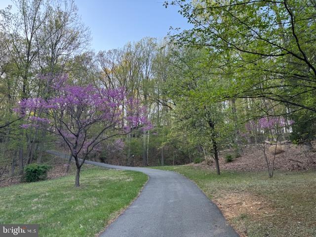 2118 Welsh Valley Road Phoenixville, PA 19460 - Photo 3 of 37 a view of a park with large trees