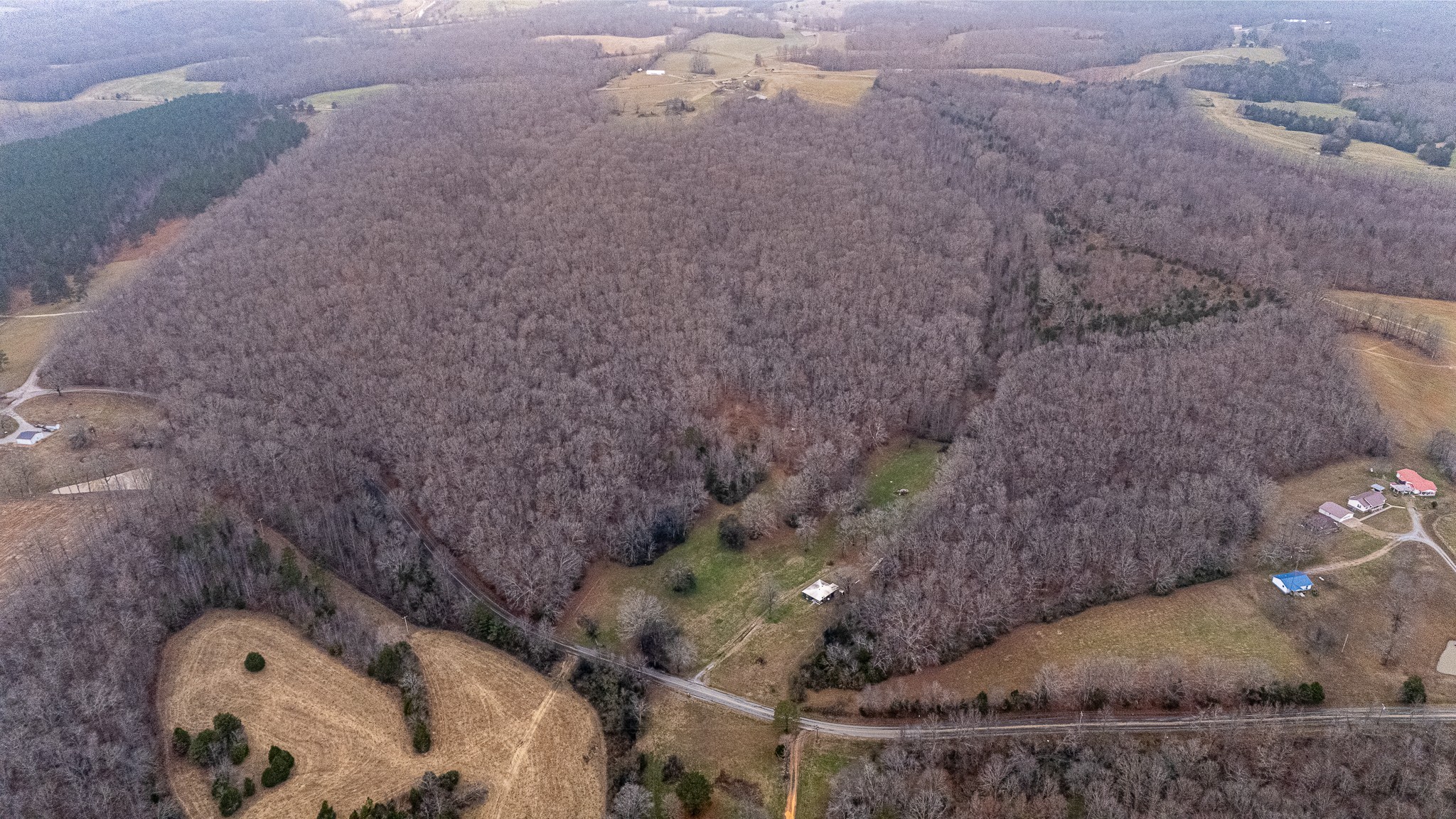 0 Waterloo Road Westpoint, TN 38486 - Photo 8 of 27