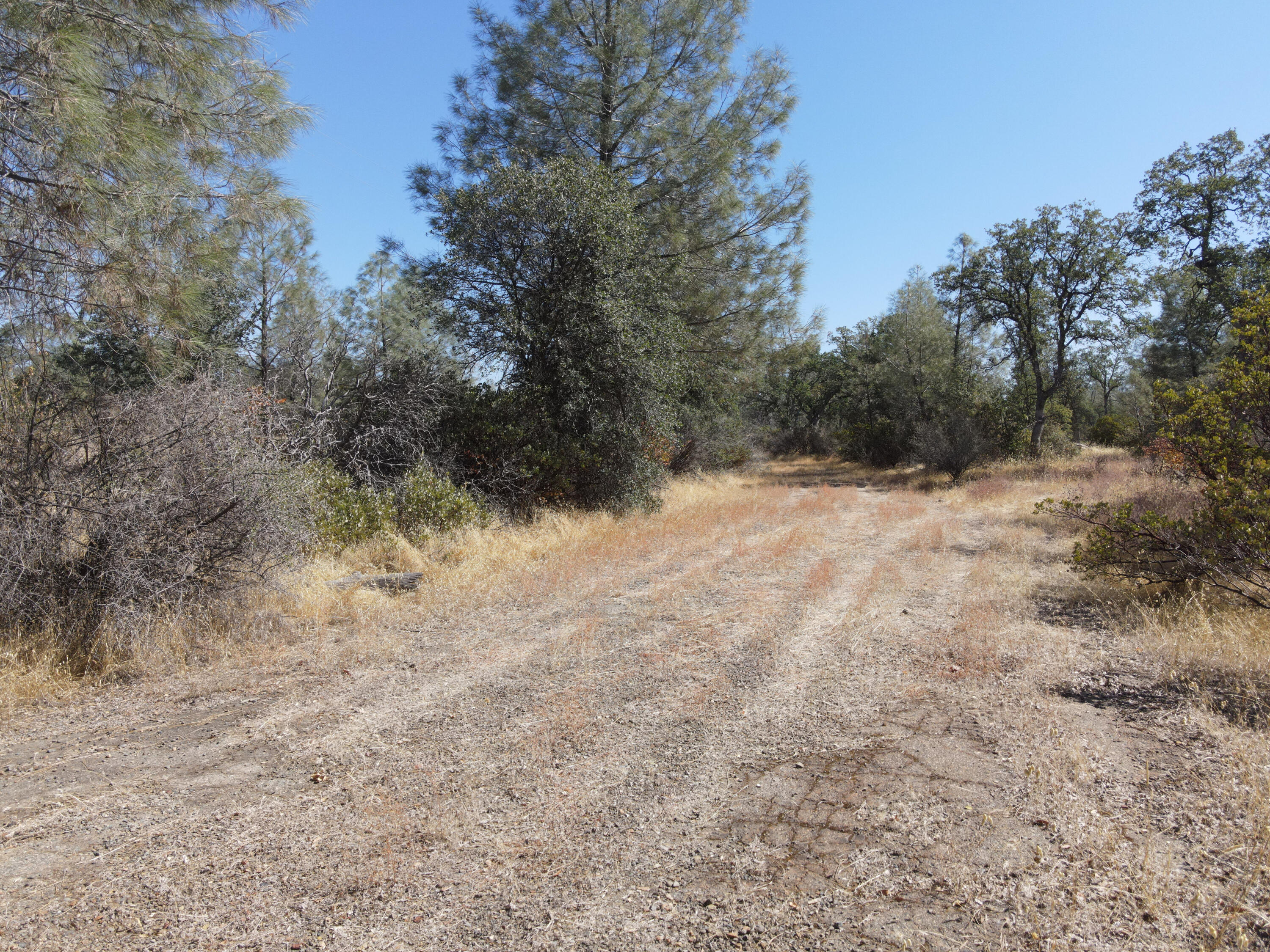 Nsa Dersch Road Shingletown, CA 96088 - Photo 7 of 56 DJI_0566_result