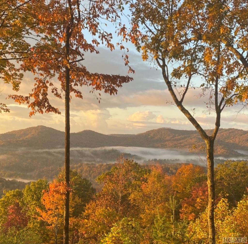1310 Tower Road Sapphire, NC 28774 - Photo 1 of 56 Gallery Image 1