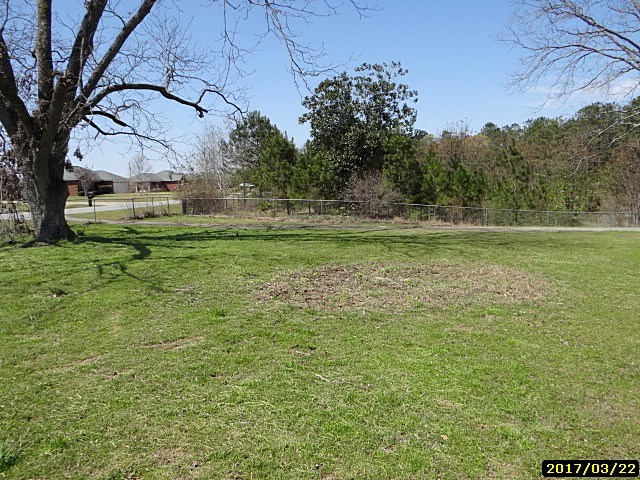 2 Moore Road Fort Mitchell, AL 36856 - Photo 2 of 16 a view of a field of grass and trees