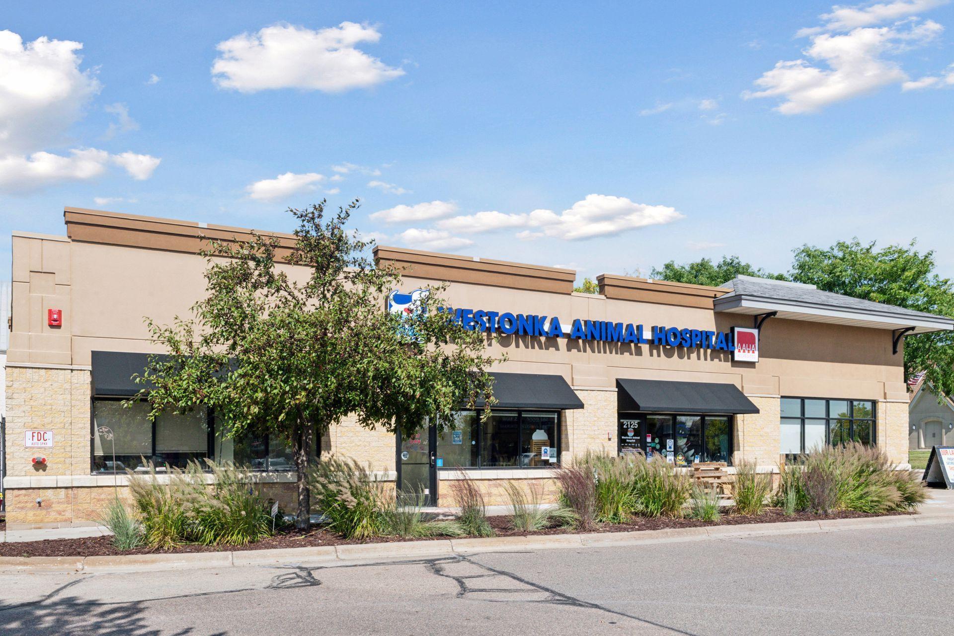 2209 Chateau Lane Mound, MN 55364 - Photo 55 of 69