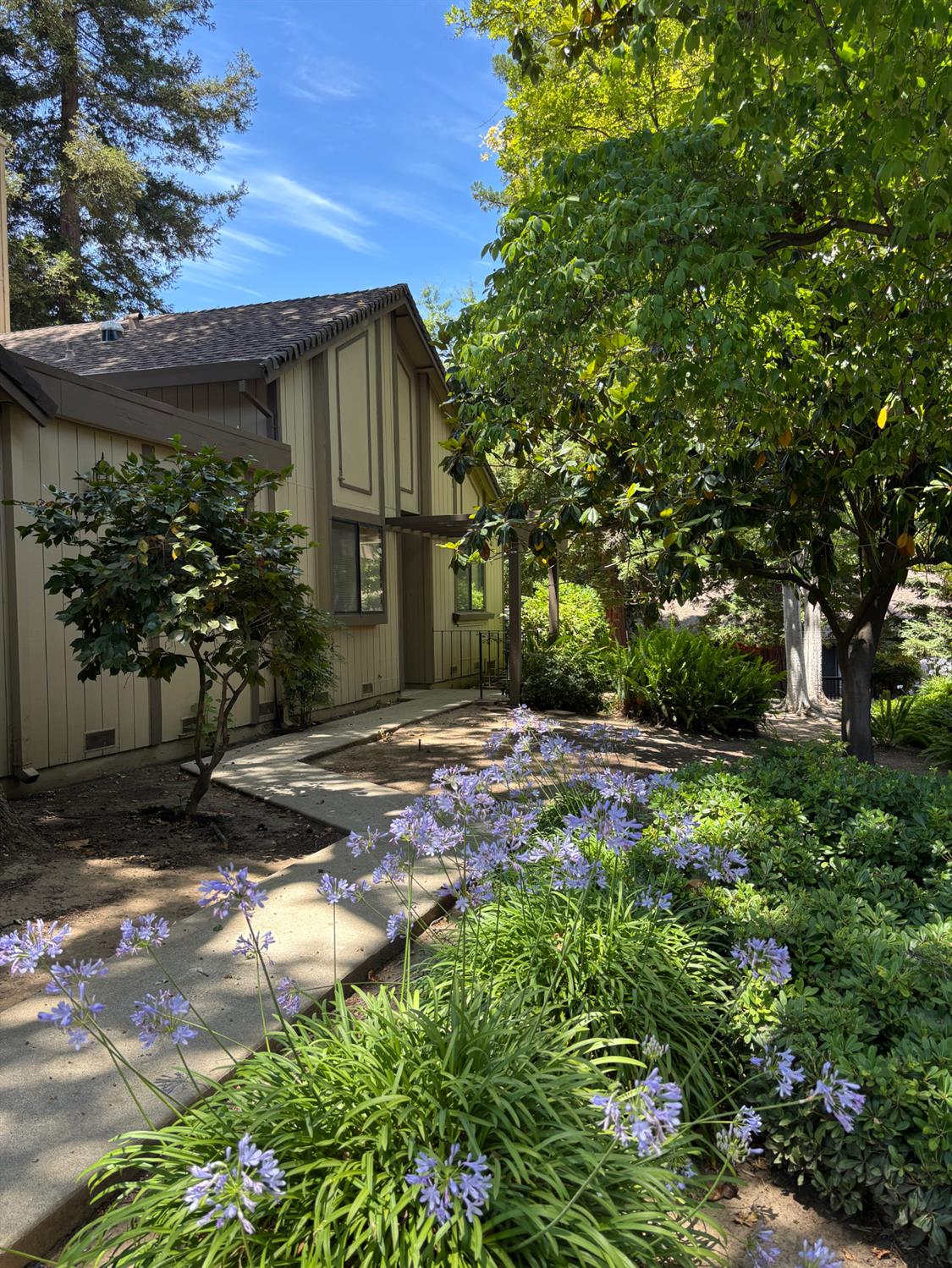 7029 Rio Cuarto Court Citrus Heights, CA 95621 - Photo 35 of 36 Welcome home