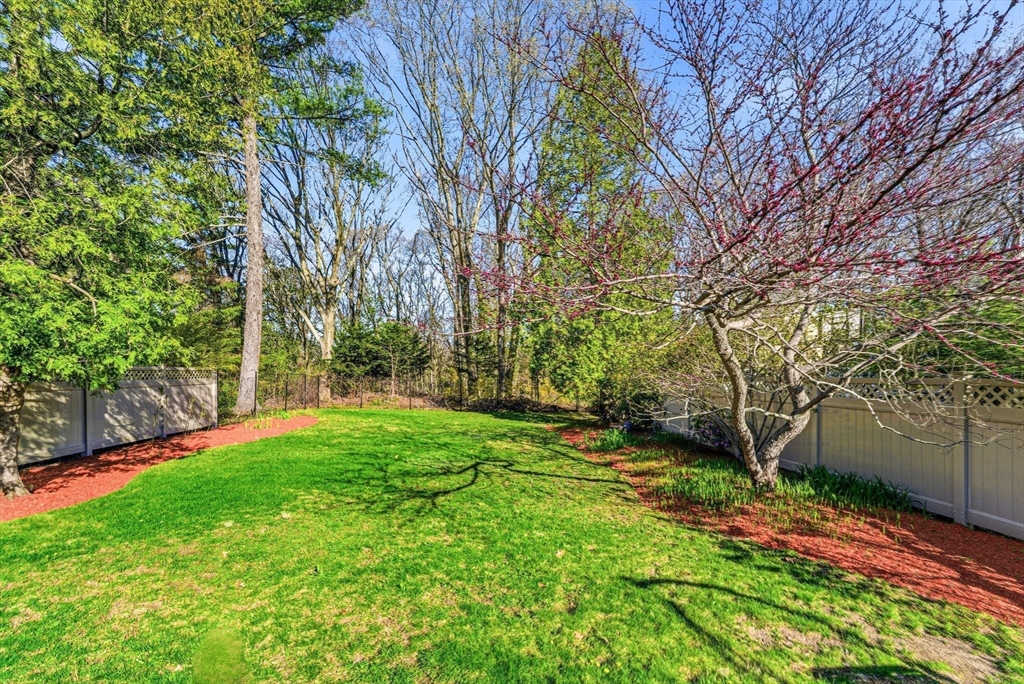 65 Spring Street Lexington, MA 02421 - Photo 27 of 31 Gallery Image 27