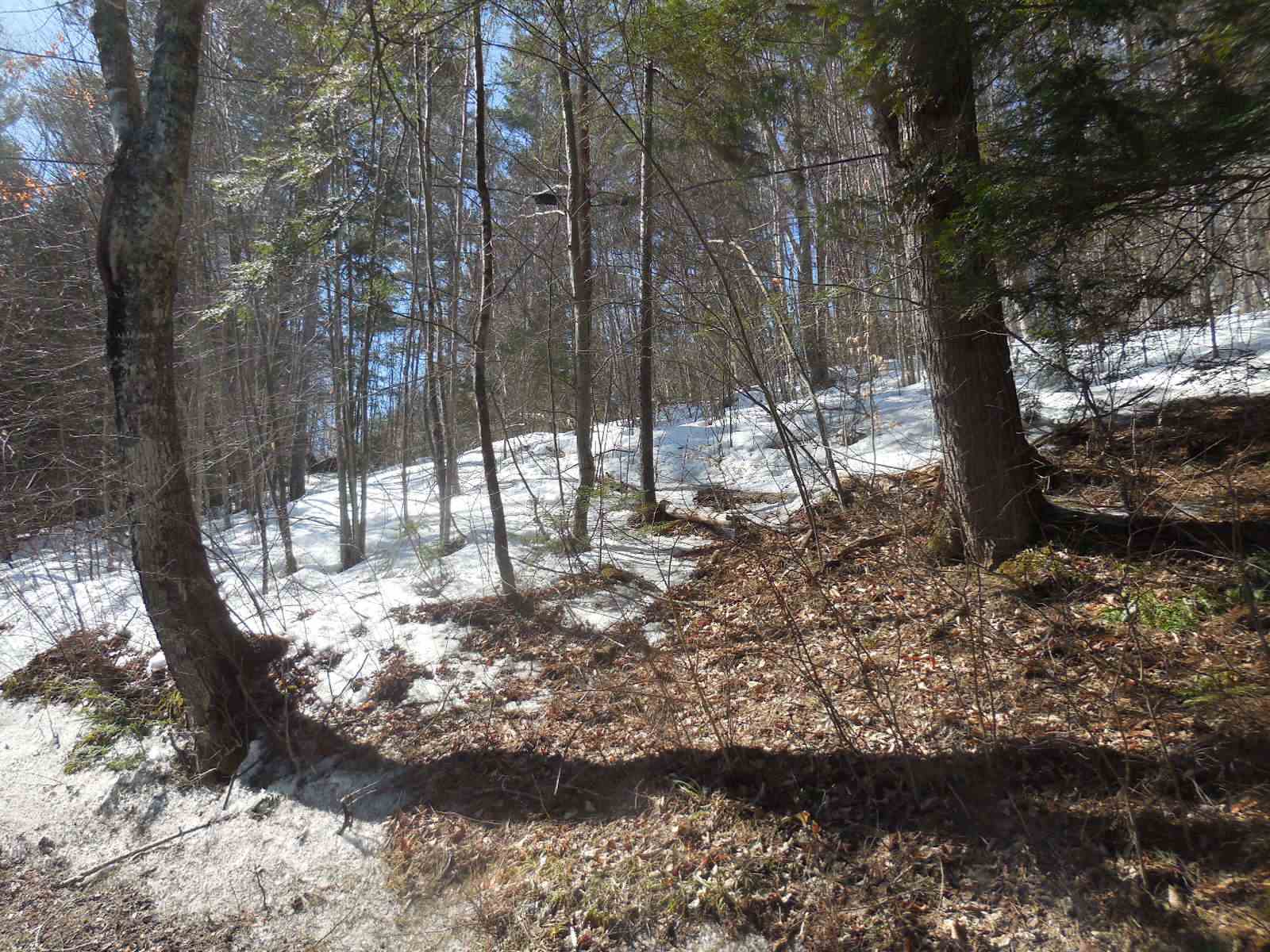 0 Nelson Pond Road East Calais, VT 05650 - Photo 1 of 9