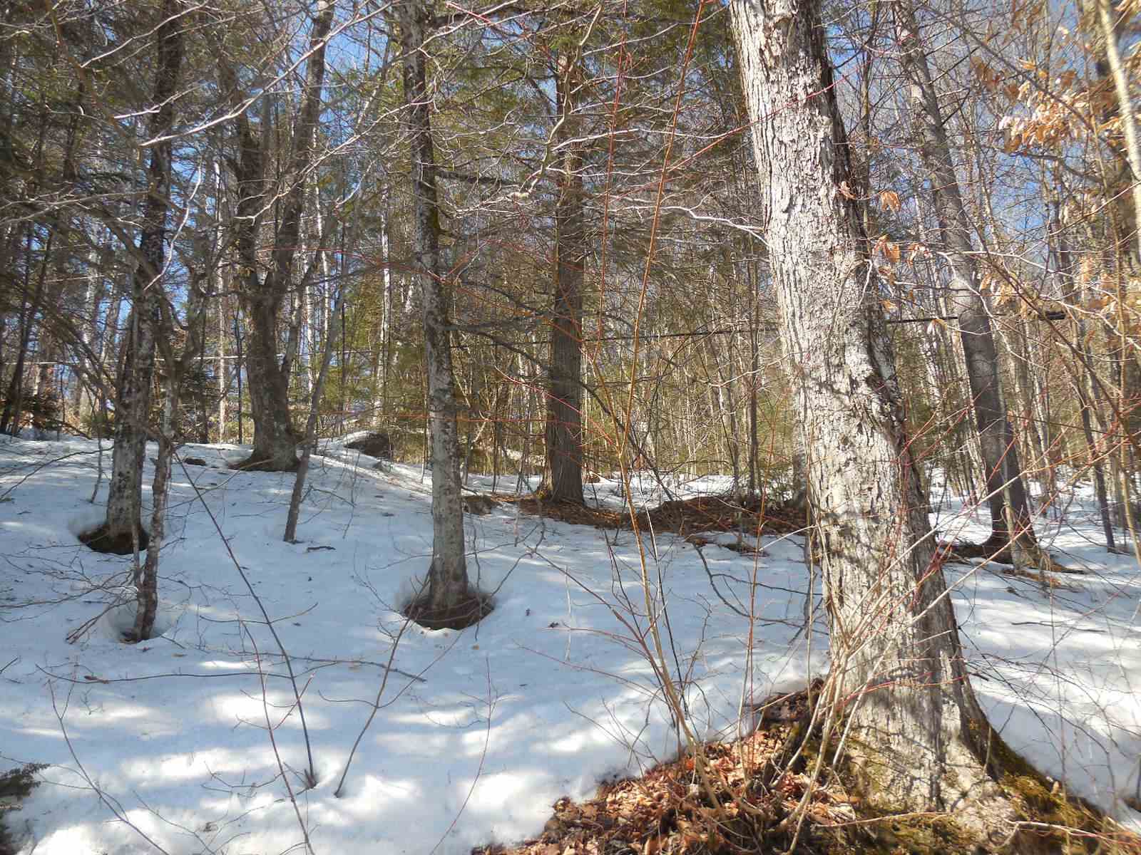 0 Nelson Pond Road East Calais, VT 05650 - Photo 6 of 9