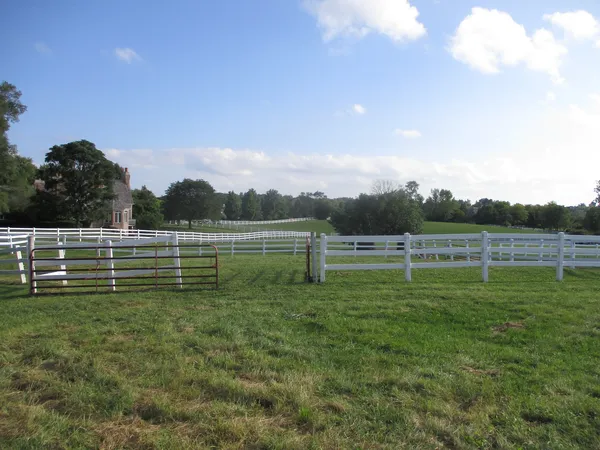 a view of outdoor space and yard