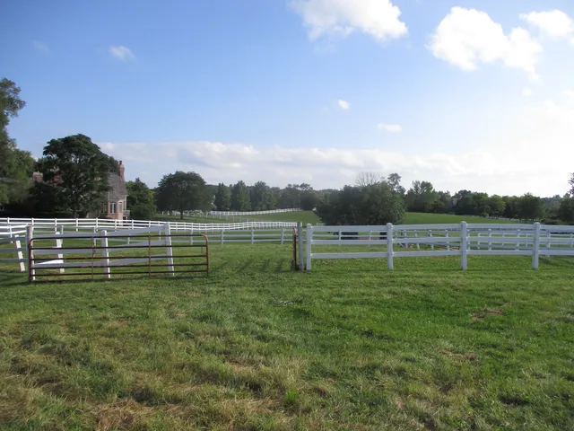 a view of outdoor space and yard
