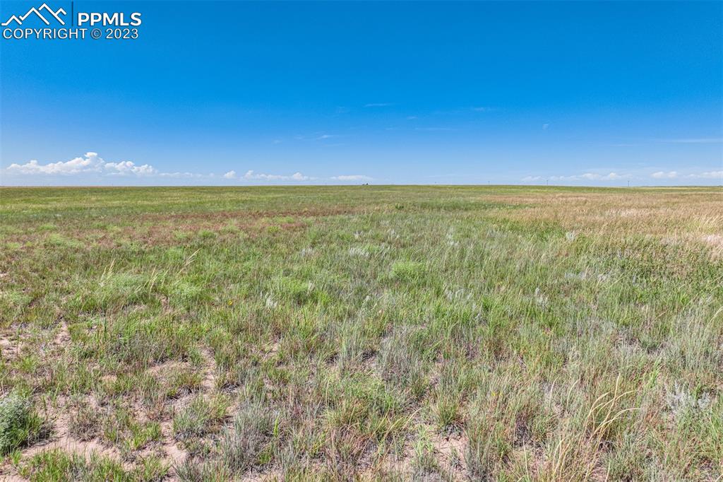 1 Corona Road Rush, CO 80833 - Photo 20 of 29