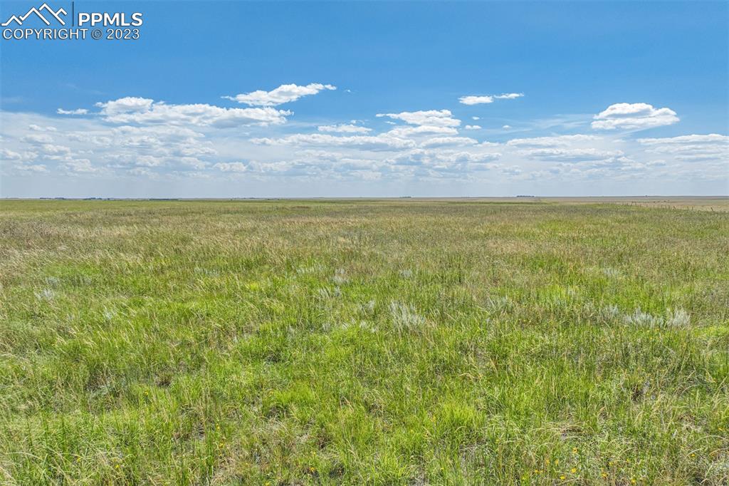1 Corona Road Rush, CO 80833 - Photo 27 of 29 a view of a lake from a yard