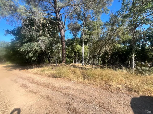 a view of outdoor space with trees