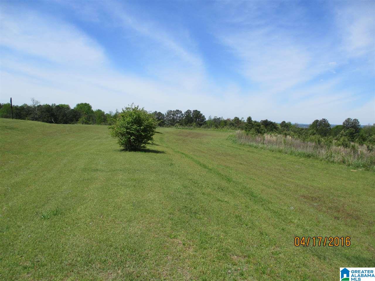 2253 Cliff Springs Road Oneonta, AL 35121 - Photo 22 of 50 Gallery Image 22