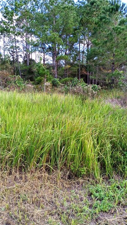 Tbd Locust Course Lane Ocala, FL 34472 - Photo 1 of 1