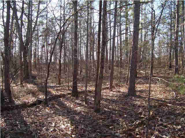 0 Walkers Gap Road, Unit 3 37 AC Springville, AL 35146 - Photo 7 of 9